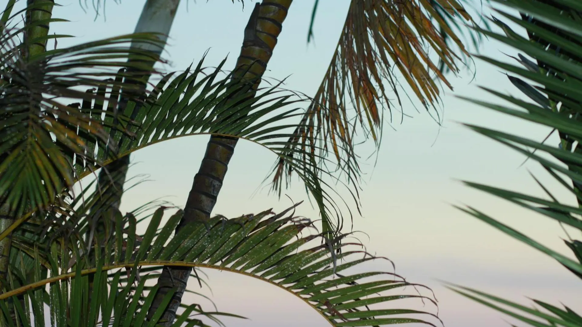 Villa única en Tenerife - Terraza, jardin y vistas al océano Santa-Cruz de Ténérife Espagne